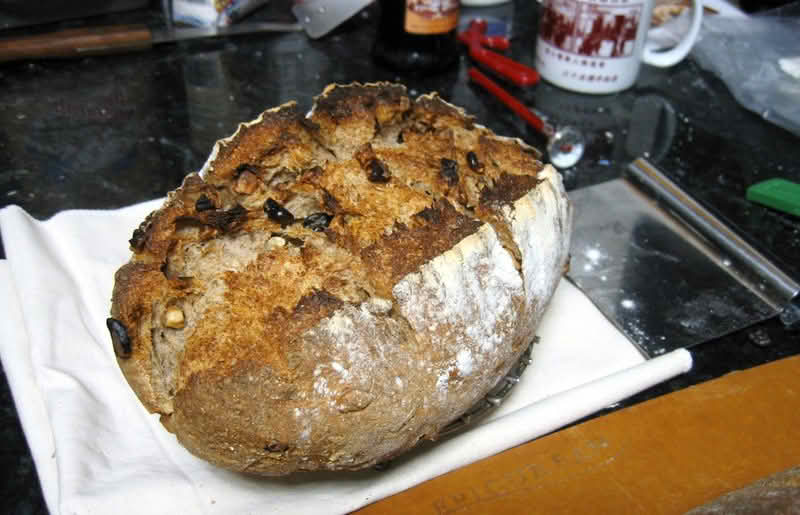A loaf of sourdough rye with walnuts resting on a napkin atop a kitchen counter