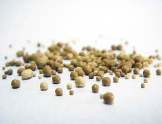 A close-up of small brown bits on a white surface, highlighting the texture and details of yeast extract